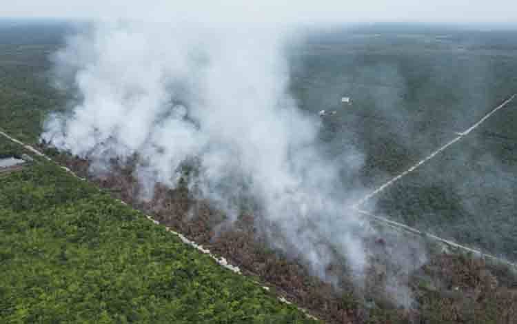 BPBD Kotim Sebut Sejumlah Karhutla Tak Terjangkau, Penggunaan Helikopter Tergantung Status Bencana Provinsi