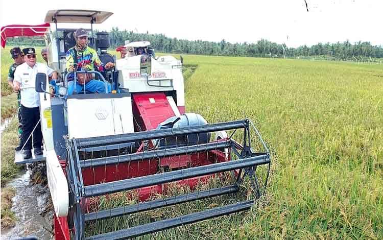 Pemkab Kotim Perkuat Produksi Pertanian Dukung Swasembada Pangan Nasional