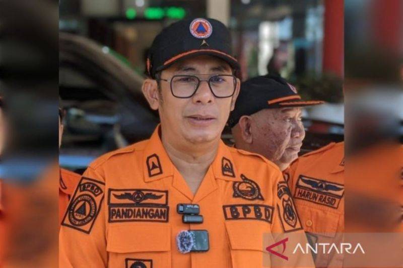 Kepala Pelaksana BPBD Kabupaten Kapuas Pangeran S Pandingan. ANTARA/All Ikhwan