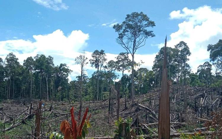 Kemenhut Serahkan Tiga Perambah Hutan Bentang Seblat ke Kejaksaan