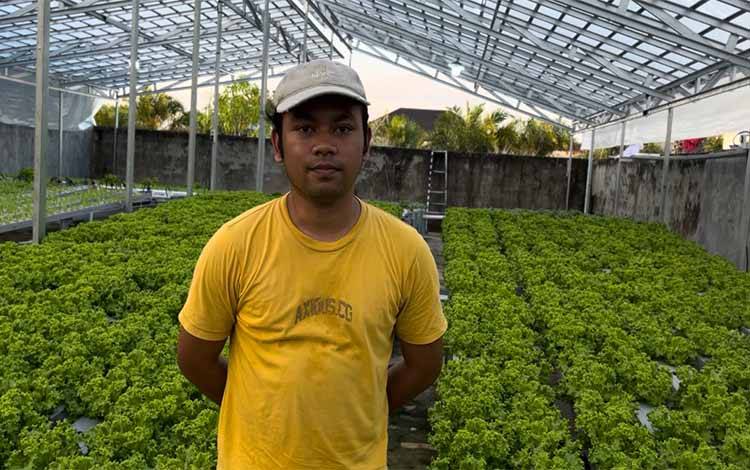 Sayur Sei Kembangkan Pertanian Hidroponik Modern di Palangka Raya