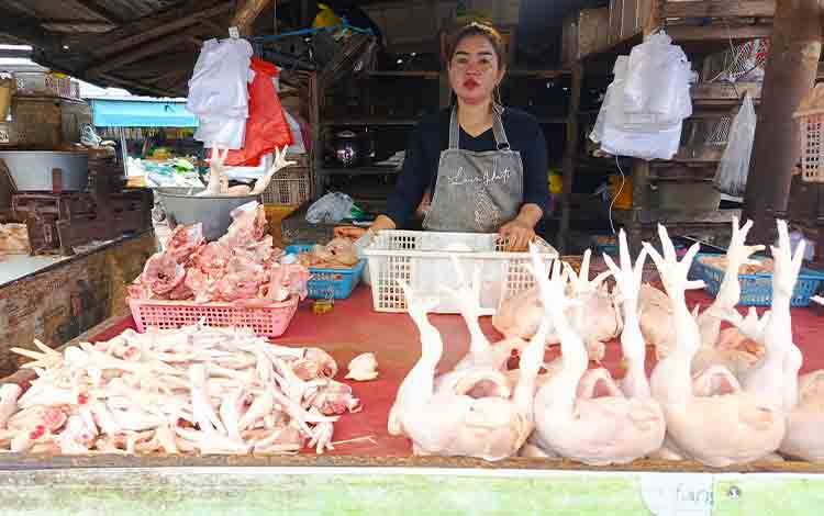 Harga Ayam Potong Melonjak, Pembeli Beralih ke Telur di Pasar Subuh