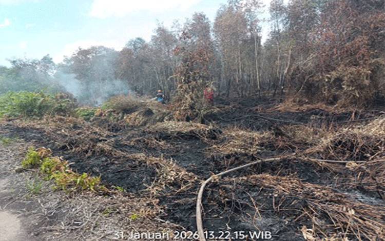 Meski Hujan, Karhutla di Desa Bangkuang Makmur Kotim Sulit Dipadamkan karena Lapisan Gambut