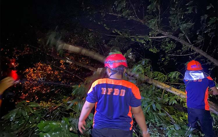 BPBD Kapuas Evakuasi Pohon Tumbang, Warga Diminta Siaga Cuaca Buruk