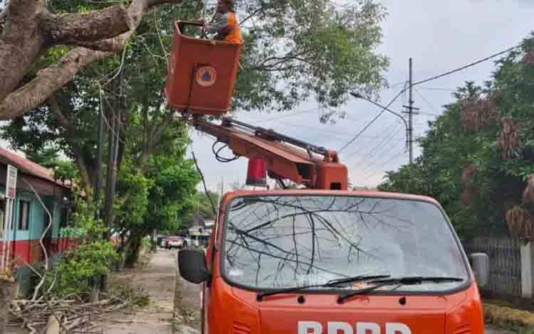 Tim Reaksi Cepat BPBD Palangka Raya Pangkas Pohon Tumbang di Sekitar SDN 4
