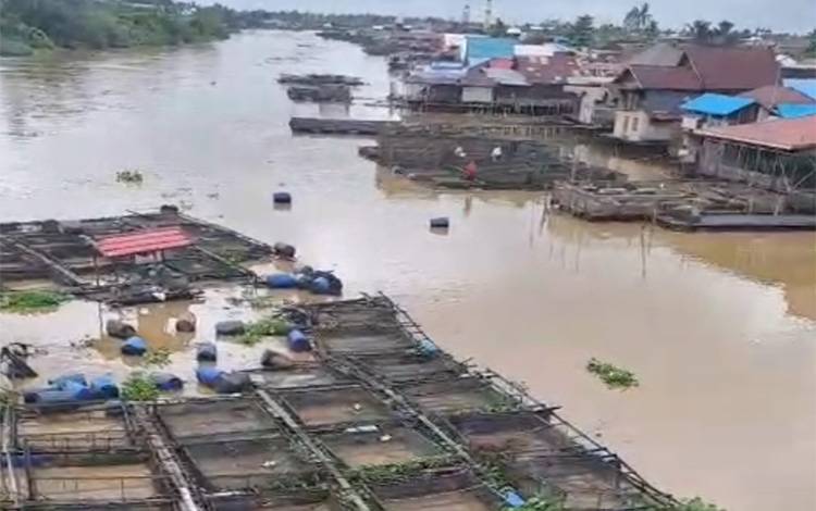 Tambak Ikan Hanyut di Sungai Martapura, dari Banua Anyar sampai Jembatan Merdeka Banjarmasin