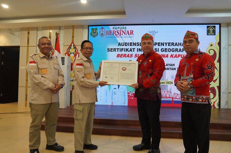 Beras Siam Arjuna Kapuas Resmi Kantongi Indikasi Geografis