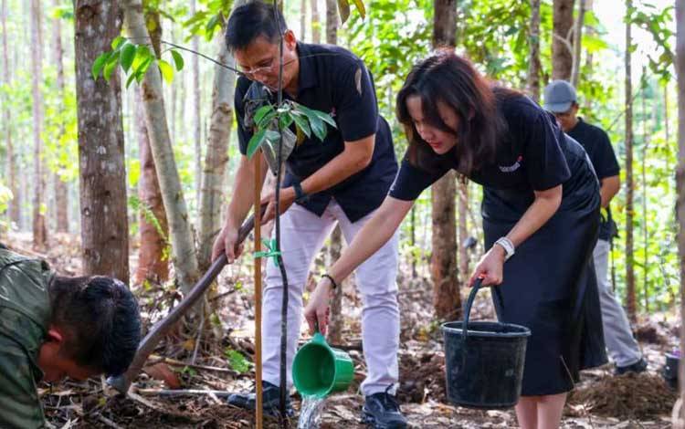 OIKN Gandeng Swasta Pulihkan Ekosistem IKN Lewat Pohon Endemik Kalimantan