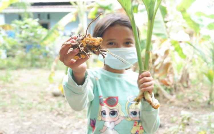 Peneliti BRIN Temukan Bakteri Antikanker di Tanah Tanaman Kunyit