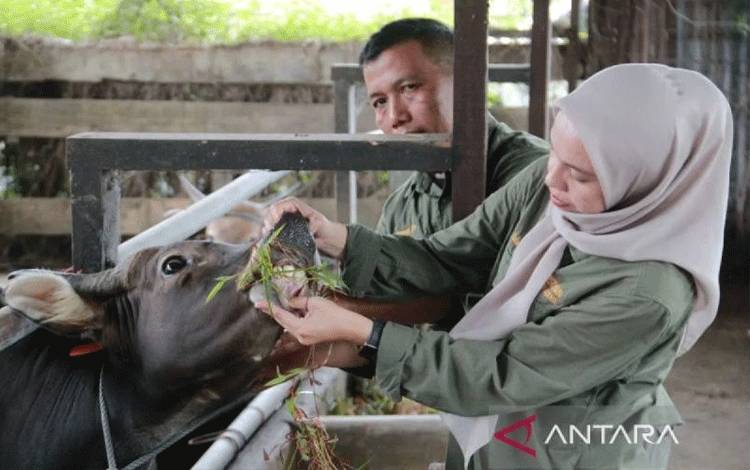 Kementan Perkuat Pengendalian Penyakit Hewan Ternak Jelang Ramadhan