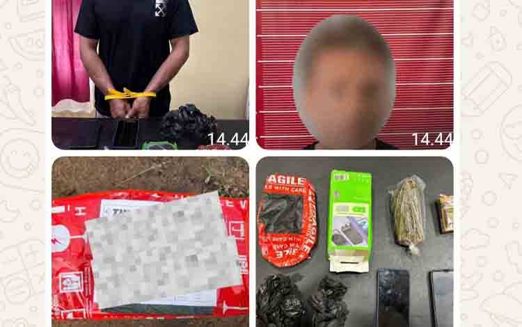 Polres Katingan Bongkar Penyelundupan Ganja Via Ekspedisi, Satu Terduga Pengedar Diringkus