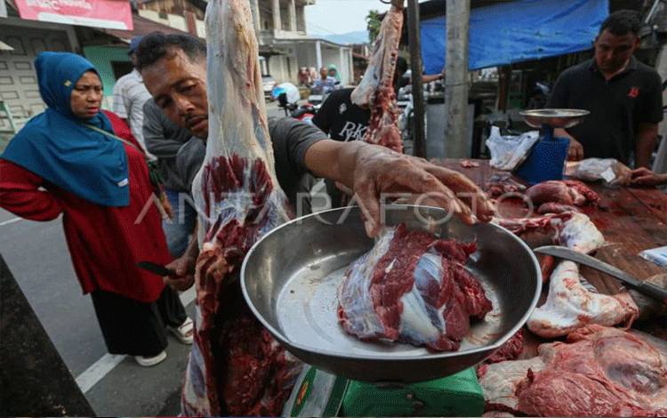 Presiden Transfer Rp72,7 Miliar untuk Sapi Meugang Korban Bencana Aceh