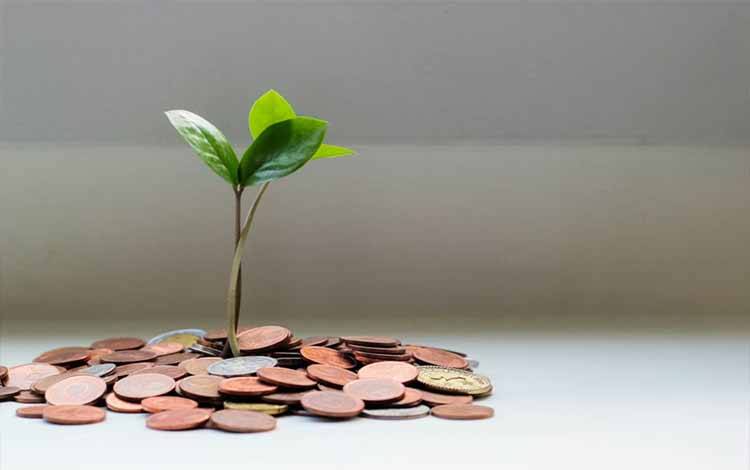 Ilustrasi investasi. Pemprov Kalteng berharap dukungan DPRD dalam penetapan Raperda Penanaman Modal. (FOTO: UNSPLASH/MICHEILE HENDERSON)