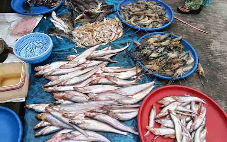 DPRD Palangka Raya Dorong Menu MBG Manfaatkan Kekayaan Lokal