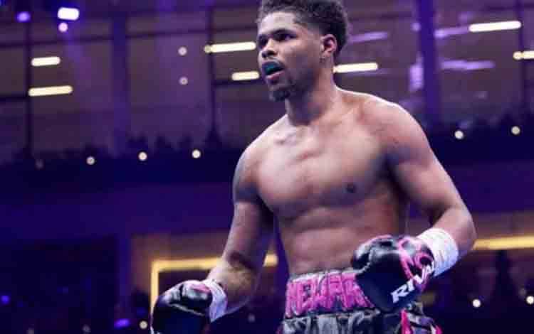 Juara Dunia WBO Stevenson Tantang Juara UFC Topuria di Ring Tinju