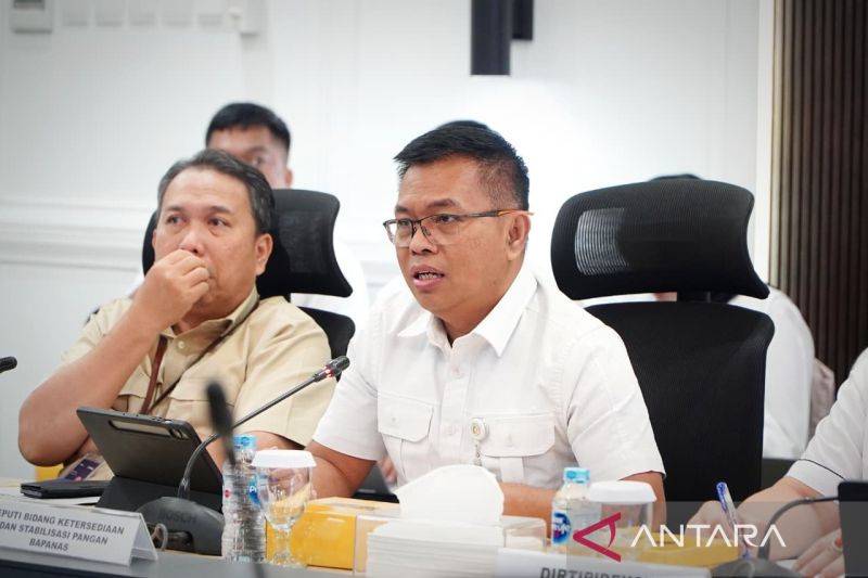 Satgas Pangan Awasi 9.138 Titik, Bapanas Klaim Harga Pangan Mulai Terkendali