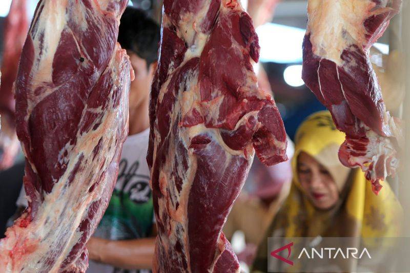 Kuota Impor Dipangkas, Asosiasi Nilai Pasokan Daging Nasional Terancam