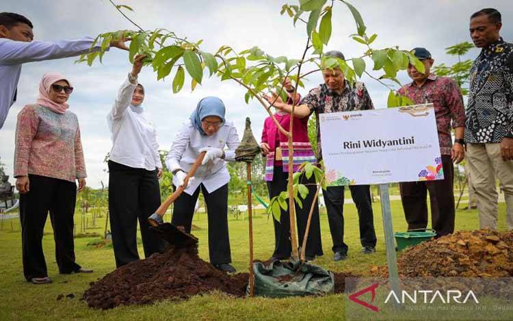 Otorita Terus Tanam Pohon Guna Jadikan IKN Kota Hutan Berkelanjutan