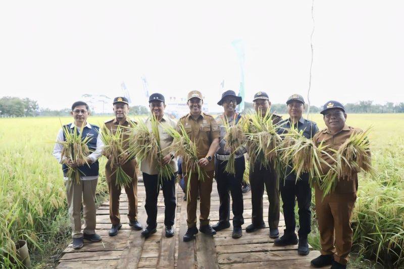 Kalteng Garap 21 Ribu Hektare Cetak Sawah Rakyat, Mantapkan Langkah Jadi Lumbung Pangan Nasional