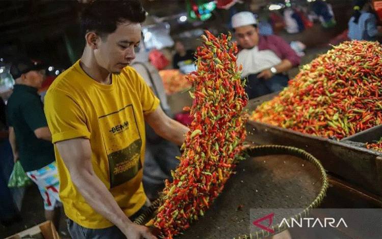 PIHPS: Harga Cabai Rawit Merah Rp79.550/kg, Telur Ayam Rp33.550/kg