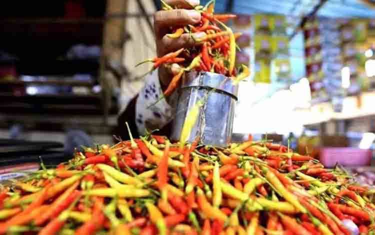 Harga Cabai Rawit Merah Tembus Rp83.050 per Kg, Telur Ayam Rp29.650