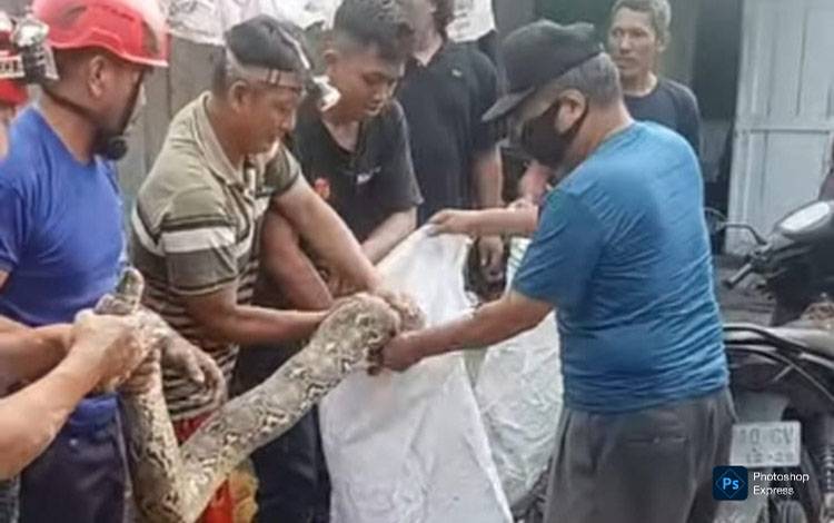 Damkar Kobar Evakuasi Ular Sanca di Kamar Mandi Rumah Warha Mendawai