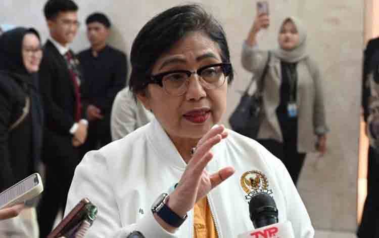 Anggota Komisi IX DPR RI Irma Suryani. (ANTARA/HO-DPR RI)