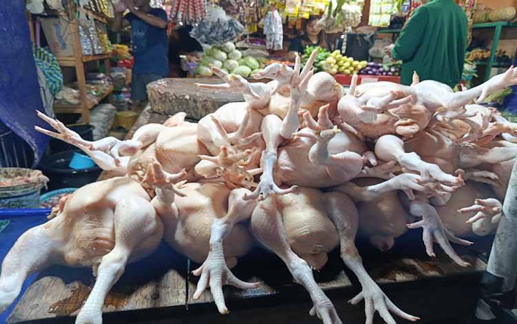 Ayam ras yang dijual di pasar (Foto:MARINI)