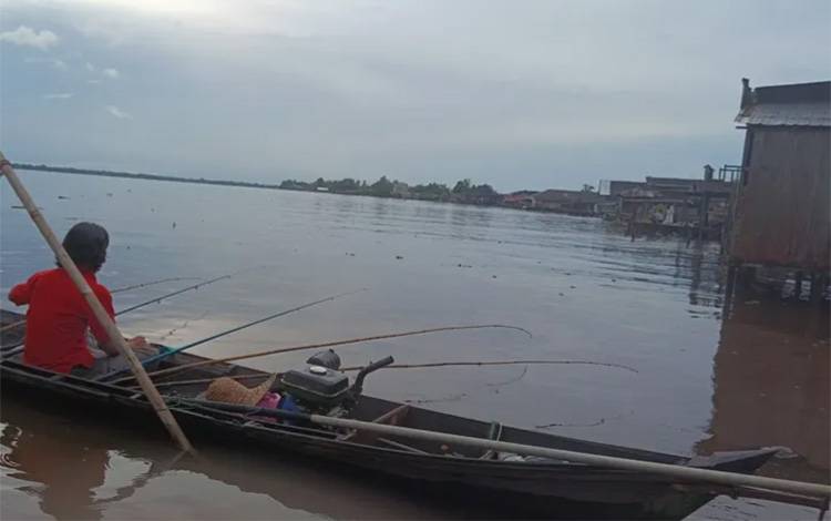 Buaya Muncul di Kuala Kapuas, Aktivitas Berenang dan Memancing Masih Rutin Meski MCK di Sungai Sudah Jarang