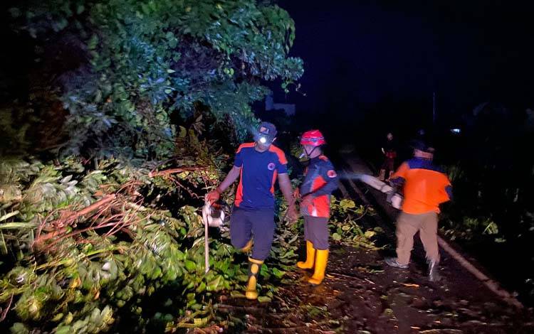 Pohon Tumbang di Palingkau Lama, TRC BPBD Kapuas Gerak Cepat Lakukan Penanganan