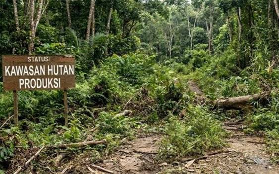 18 Km Jalan di Bukit Santuai Tak Bisa Ditingkatkan Terkendala Status Kawasan Hutan