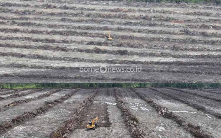 Pemko Palangka Raya Siapkan 21,5 Hektare di Petuk Bukit untuk Cetak Sawah