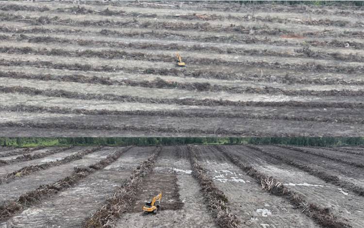 Pemko Palangka Raya Siapkan 21,5 Hektare Lahan di Petuk Bukit untuk Program Cetak Sawah Rakyat