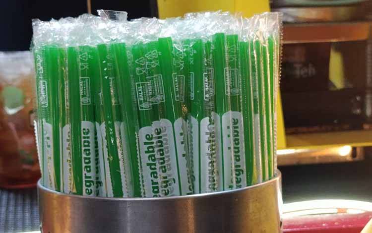 DPRD Palangka Raya Dorong Penggunaan Sedotan Purun, Kurangi Ketergantungan Plastik
