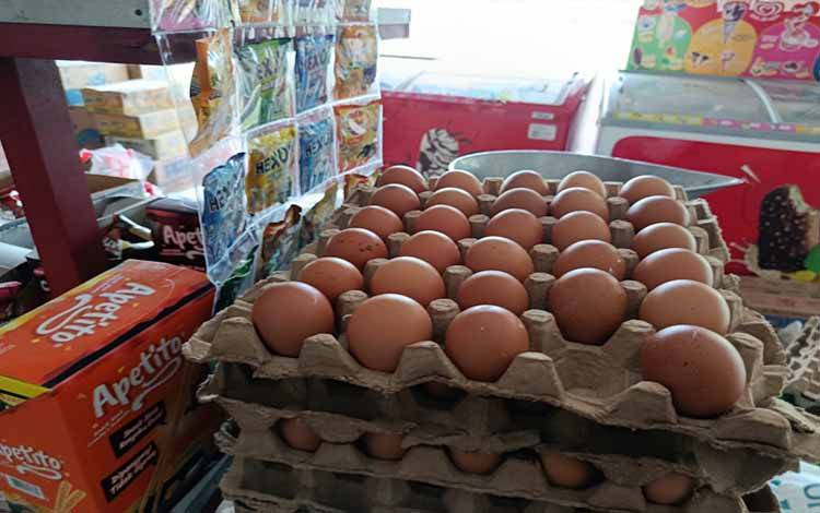Peternakan Wajib Kantongi Izin, Jaga Lingkungan dan Stabilitas Harga Telur