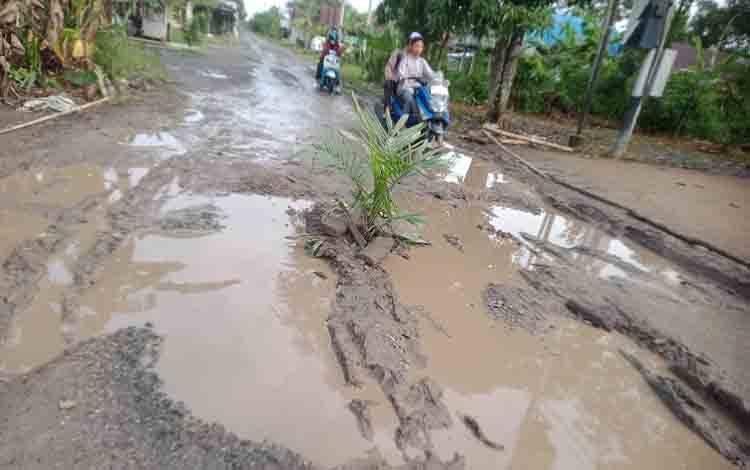Sudah Lama Rusak, Warga Keluhkan Jalan Poros Tamban yang Rawan Kecelakaan
