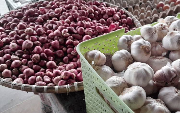 DPRD Dorong Kemandirian Produksi Bawang di Palangka Raya demi Tekan Kenaikan Harga