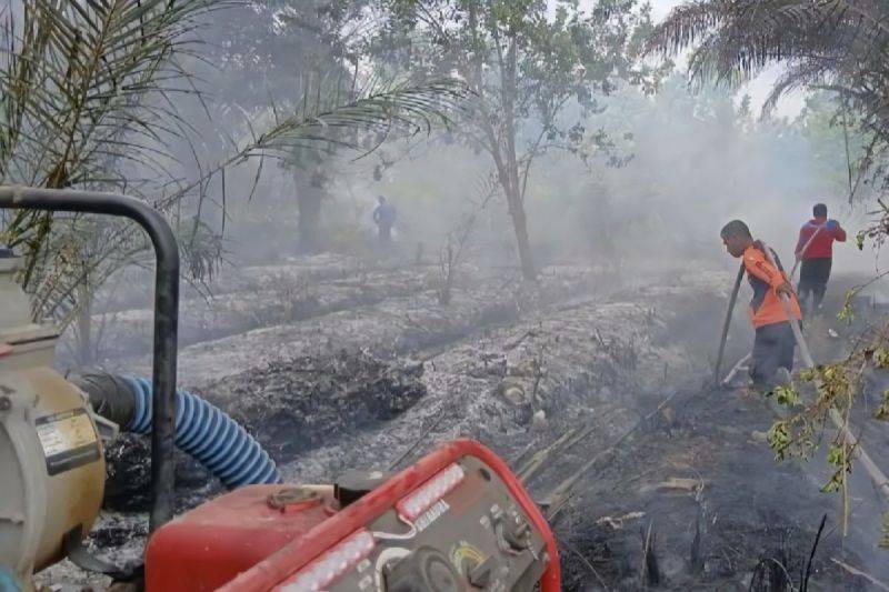Pemprov Kalteng Waspadai Kemarau Lebih Cepat, Antisipasi Risiko Karhutla