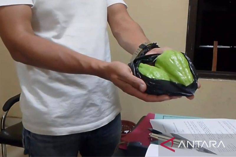 Tragis, Ambil Dua Labu Siam untuk Buka Puasa, Pria ini malah Tewas Dianiaya