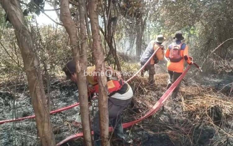 BNPB Pastikan Tidak Ada Korban Jiwa dalam Karhutla 2,5 Ha di Kotawaringin Barat