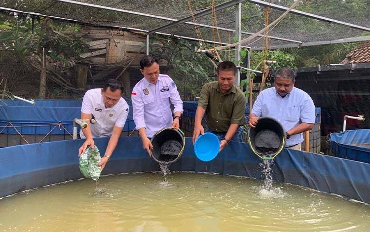 Mendorong Kemandirian Desa Lewat Budidaya Lele Berbasis Teknologi