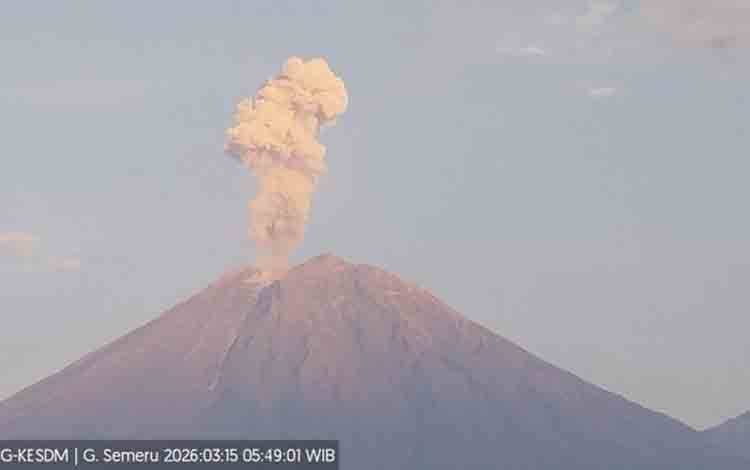 Semeru 11 Kali Erupsi dengan Tinggi Letusan hingga 1.200 Meter