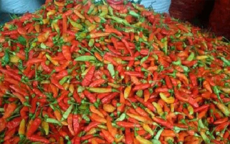 Harga Cabai di Lamandau Melonjak Jelang Lebaran, Tembus Rp120 Ribu per Kilogram