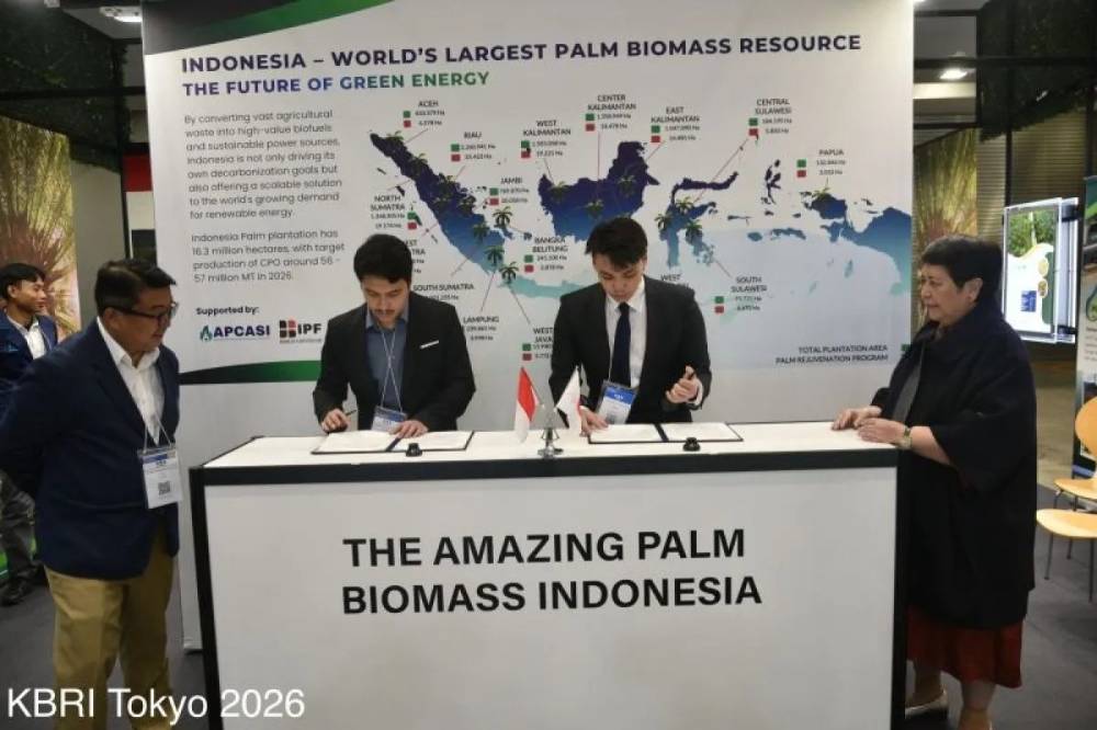 Indonesia Promosikan Inovasi Biomassa Sawit di Jepang, Dorong Energi Berkelanjutan