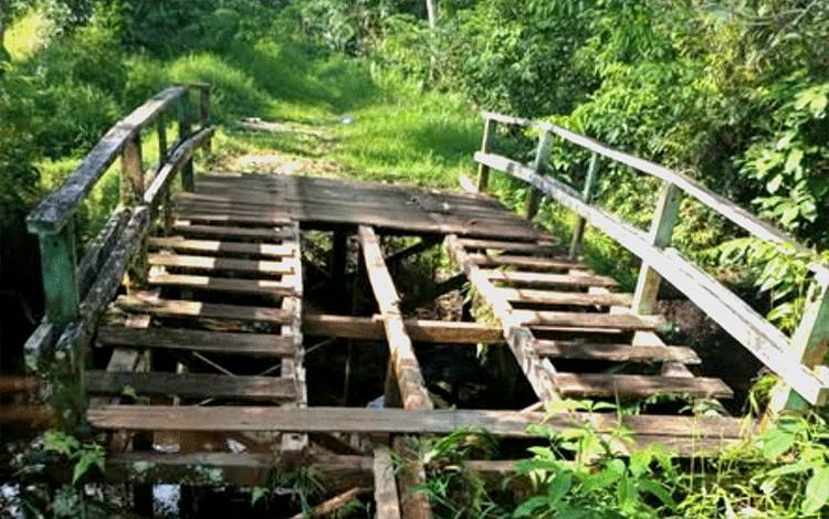 Lantai Kayu Jembatan Dicuri, Akses Kebun Warga Cempaka Mulia Barat Terganggu