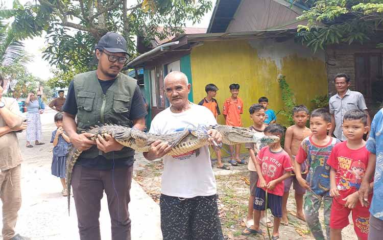 Komunitas Pecinta Reptil Amankan Buaya Tertangkap Warga di Sampit