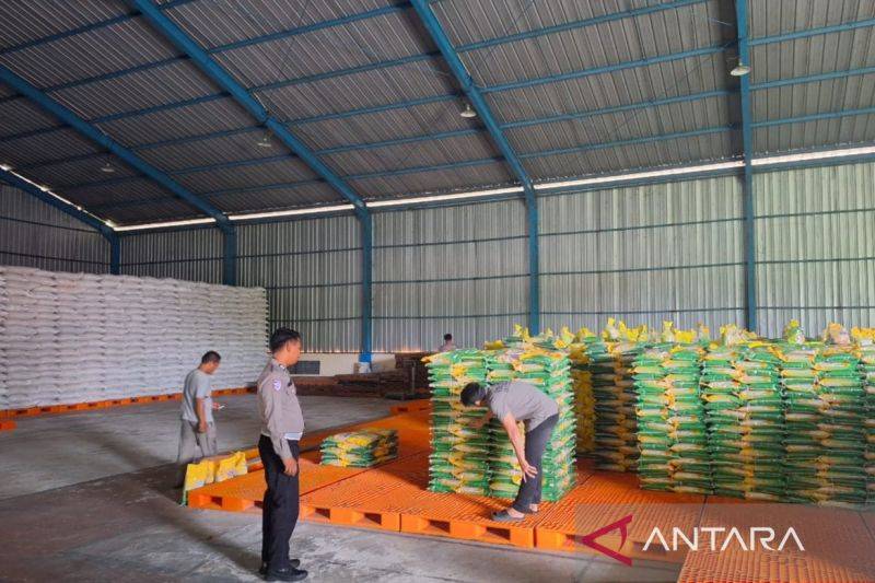 Bulog Kaltim-Kaltara Salurkan Bantuan Pangan ke 323 Ribu KPM, Jaga Daya Beli Masyarakat