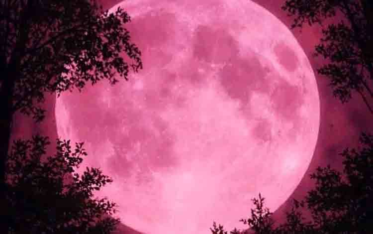 Prediksi Pink Moon 2 April 2026: Warga Palangka Raya dan Kapuas Mungkin Sulit Menyaksikan Purnama
