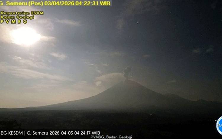 Semeru Empat Kali Erupsi dengan Tinggi Letusan hingga 1.200 Meter