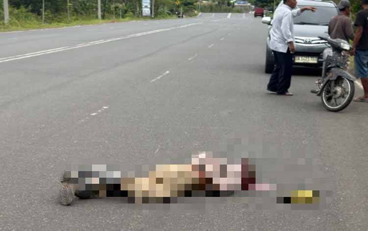 Pesepeda Jadi Korban Tabrak Lari di Banjarbaru, Ditemukan Kritis di Jalan Lingkar Utara